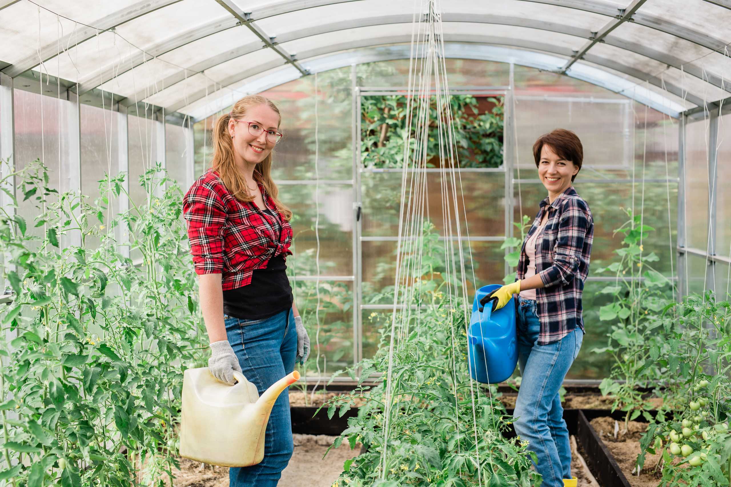 Maximizing Growth: The Art of Greenhouse Planning